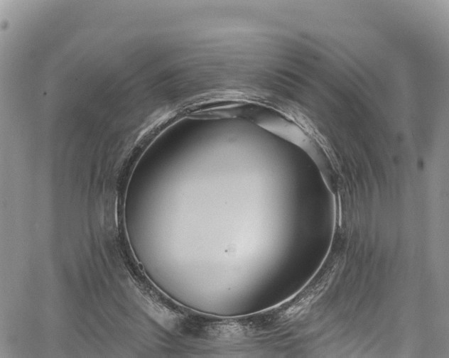 X0000067510253200604101303