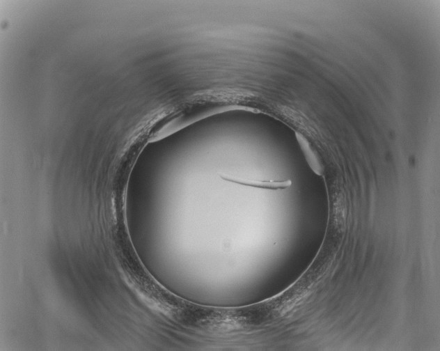 X0000067510254200604101303