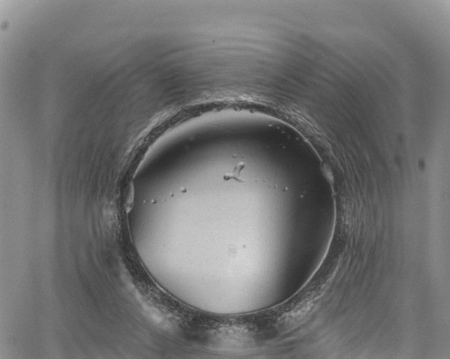 X0000067510256200604101303