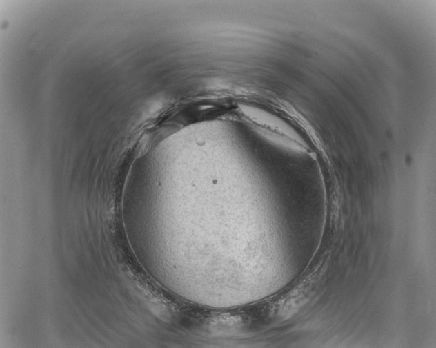 X0000067510257200604101303