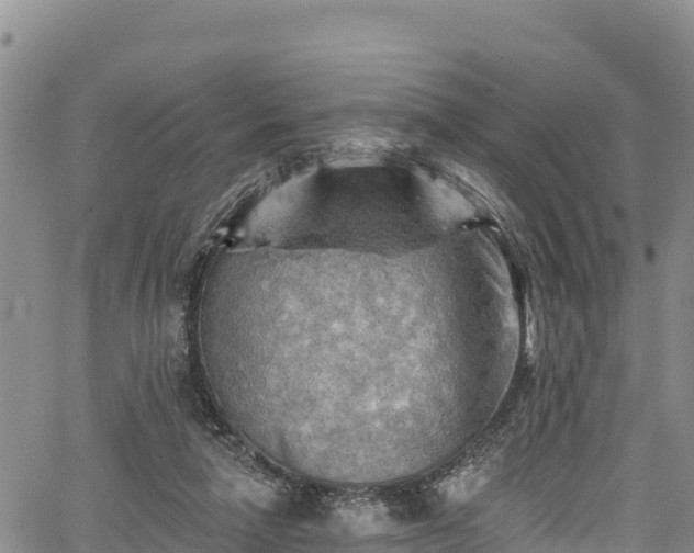 X0000067510258200604101303