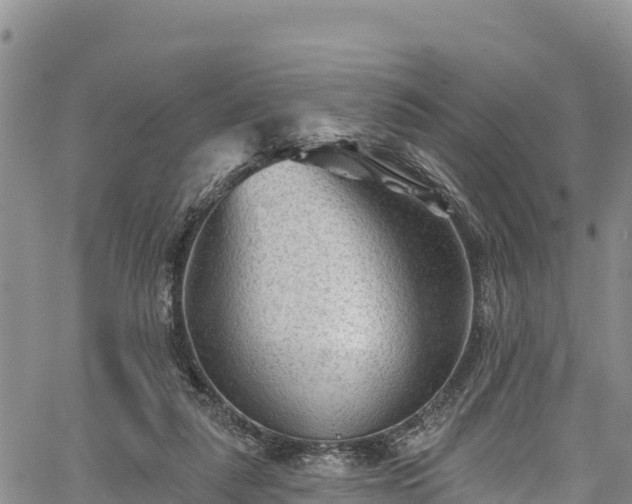 X0000067510259200604101303