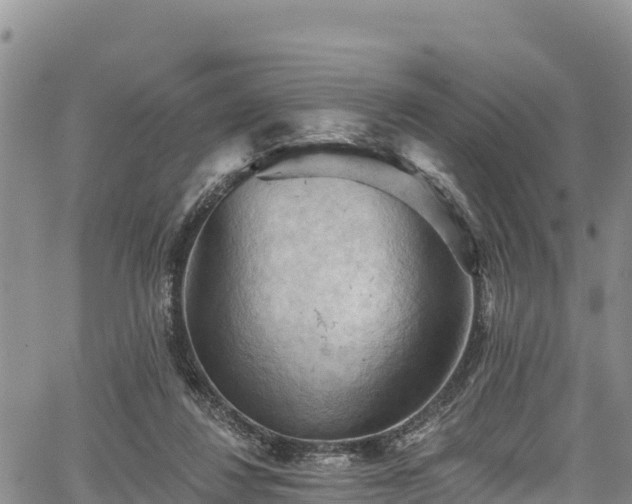 X0000067510260200604101303