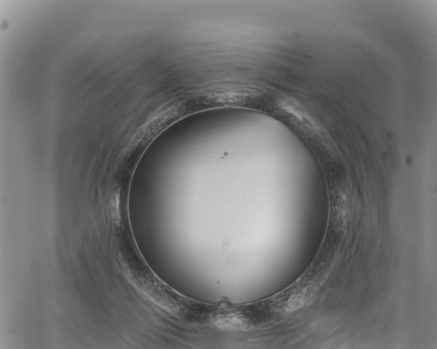 X0000067510262200604101303