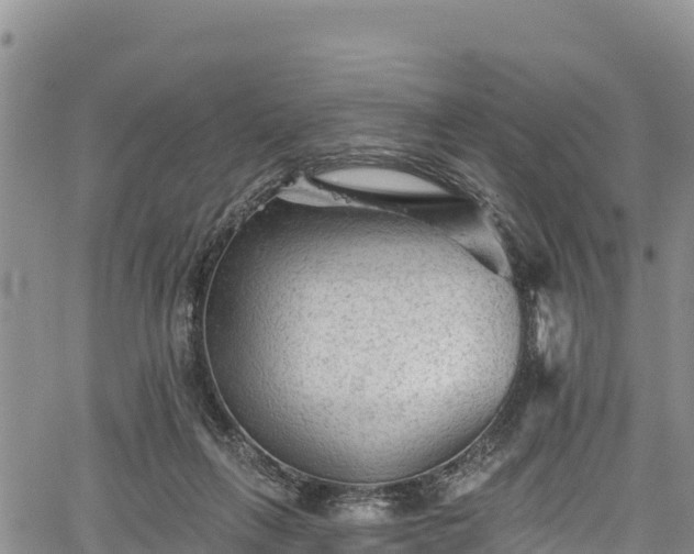 X0000067510263200604101303