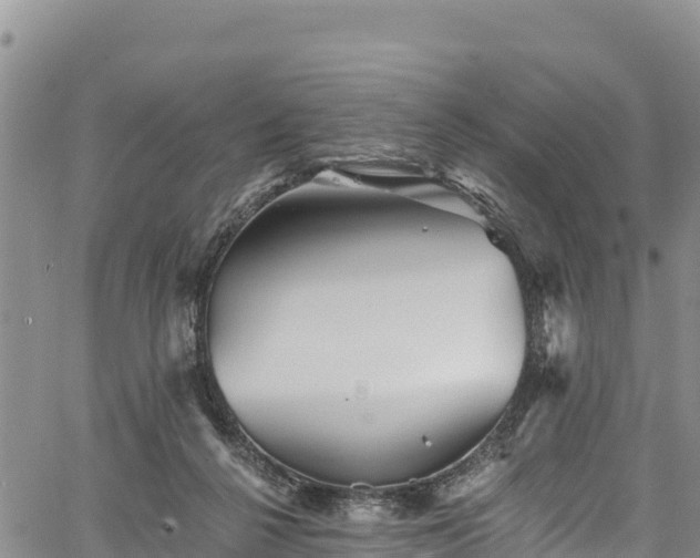 X0000067510264200604101303