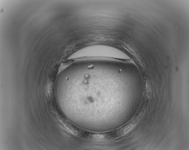 X0000067510265200604101303