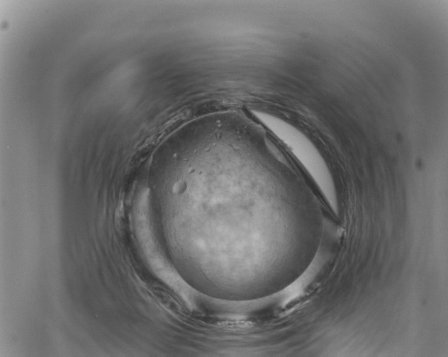 X0000067510266200604101303