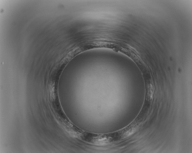 X0000067510267200604101303