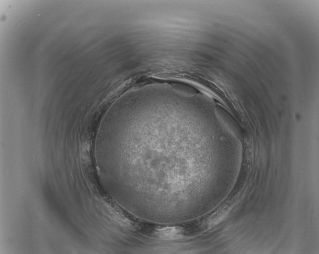 X0000067510269200604101303