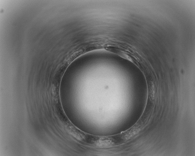 X0000067510270200604101303