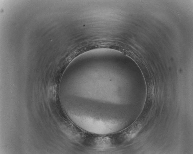 X0000067510271200604101303