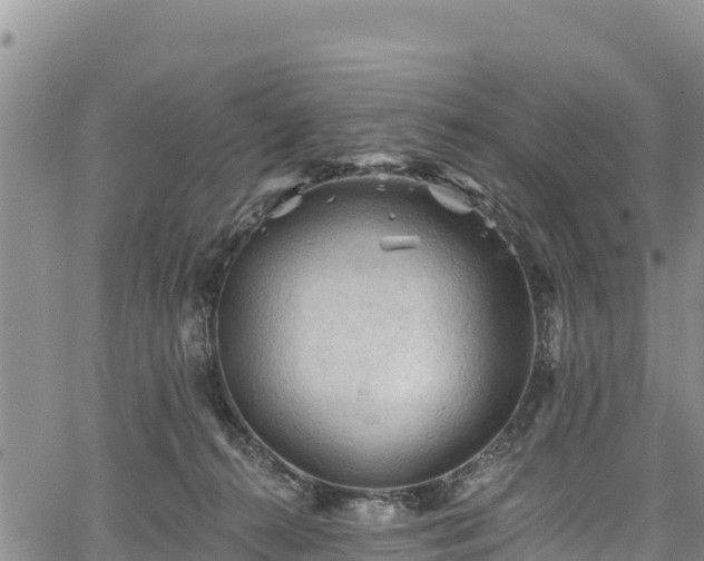 X0000067510272200604101303