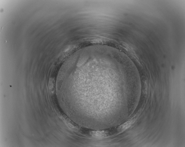 X0000067510273200604101303