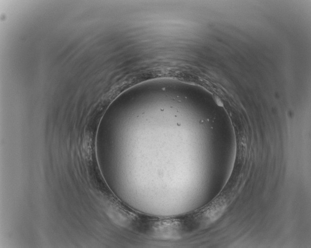 X0000067510274200604101303