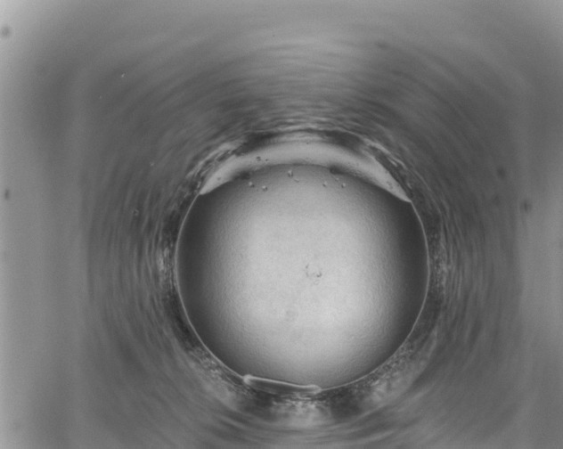 X0000067510276200604101303