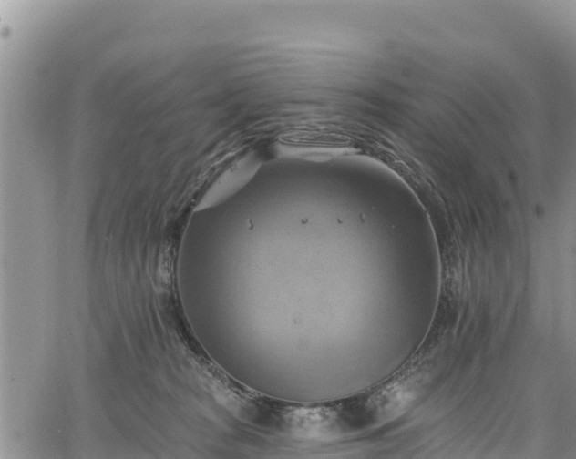 X0000067510277200604101303