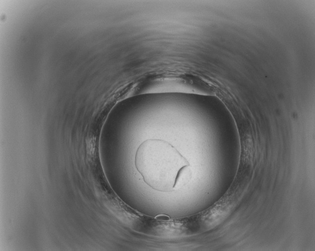 X0000067510278200604101303