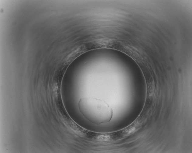 X0000067510279200604101303