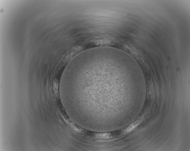 X0000067510281200604101303