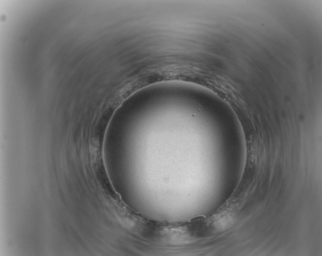 X0000067510283200604101303