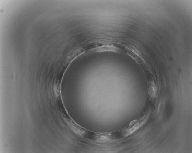 X0000067510285200604101303