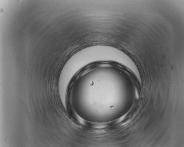 X0000067510287200604101303