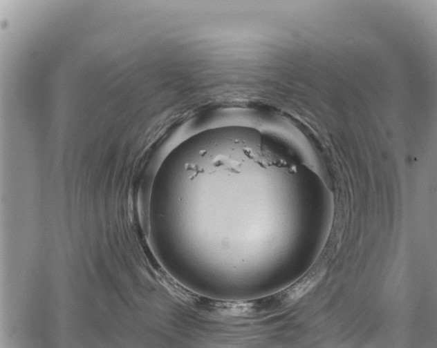 X0000067510288200604101303