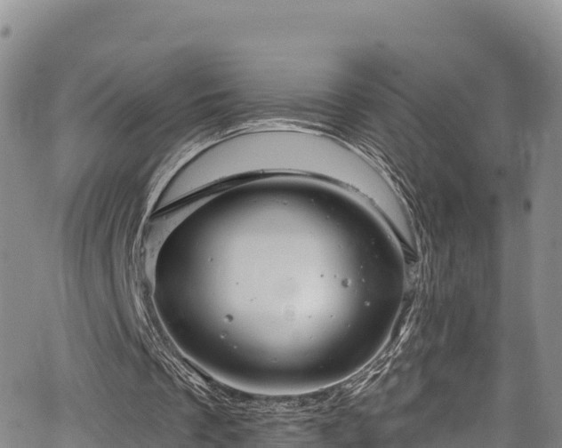 X0000067510289200604101302