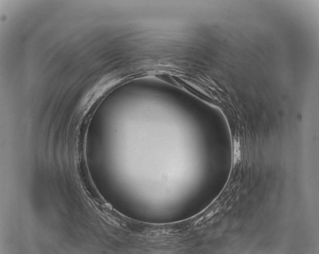 X0000067510291200604101302