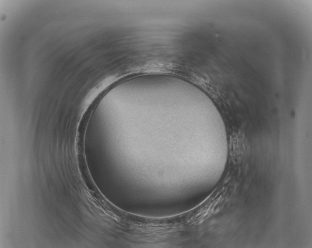 X0000067510292200604101302