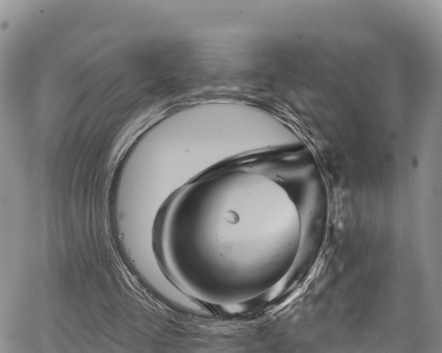 X0000067510293200604101302