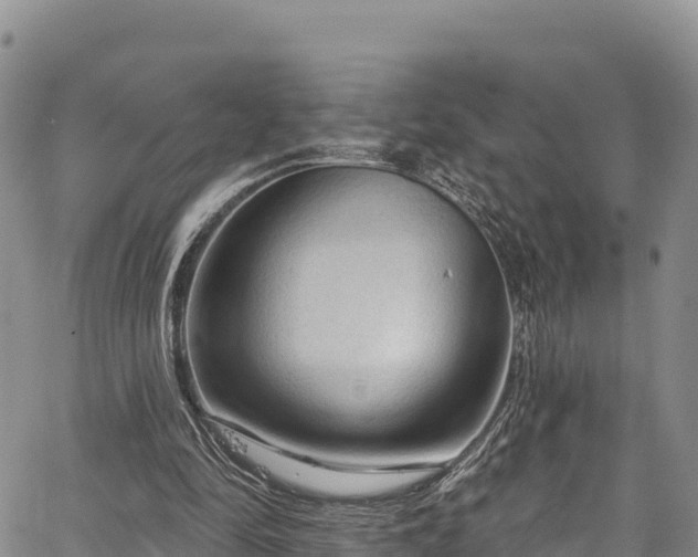 X0000067510294200604101302