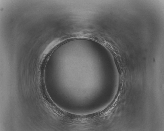 X0000067510295200604101302