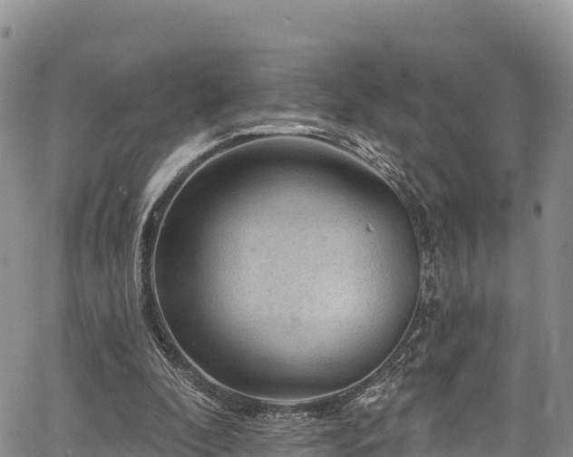 X0000067510296200604101302