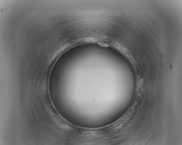 X0000067510297200604101302