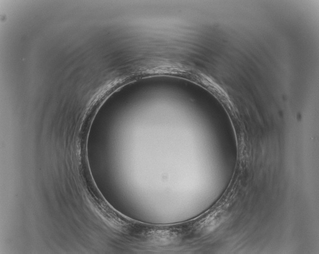 X0000067510298200604101302