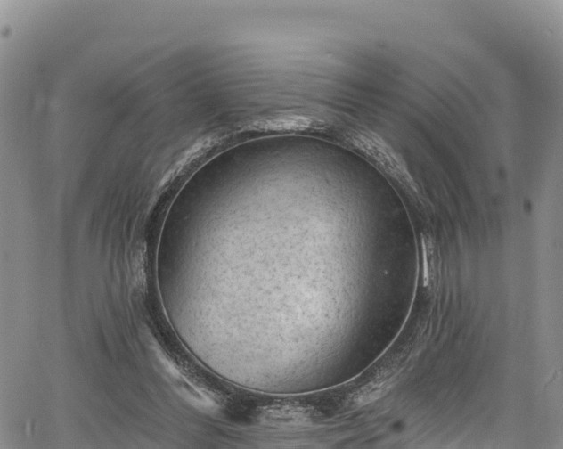 X0000067510300200604101302