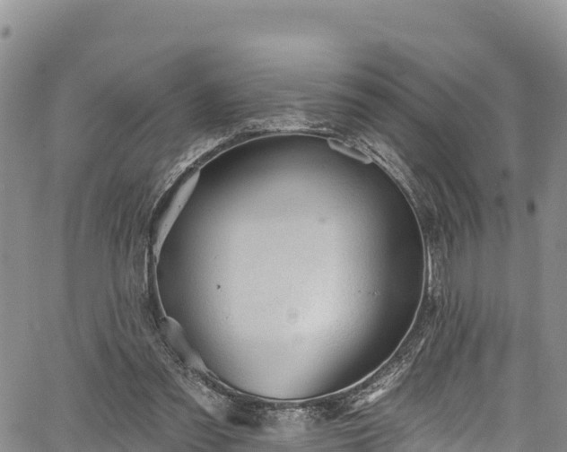 X0000067510301200604101302