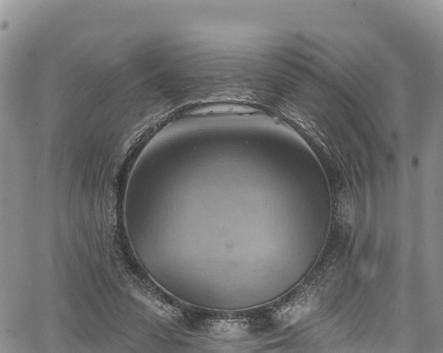 X0000067510303200604101302