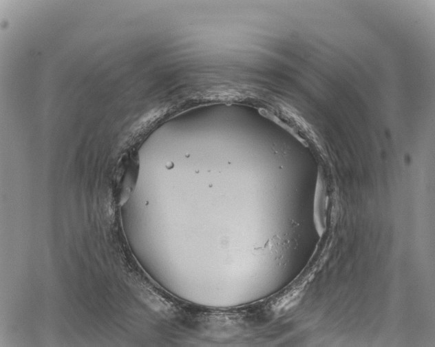 X0000067510305200604101302