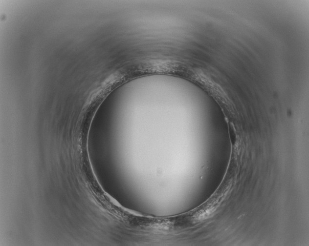 X0000067510306200604101302