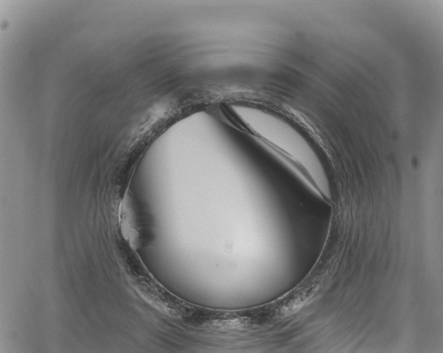 X0000067510307200604101302