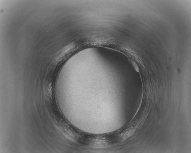 X0000067510308200604101302