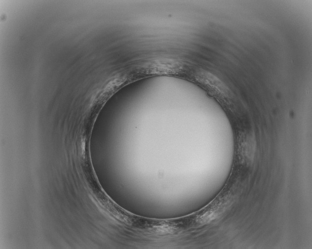 X0000067510310200604101302