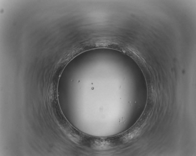 X0000067510311200604101302