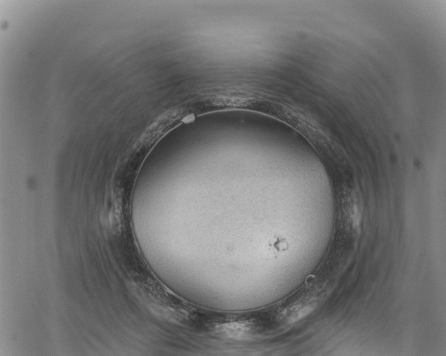 X0000067510312200604101302