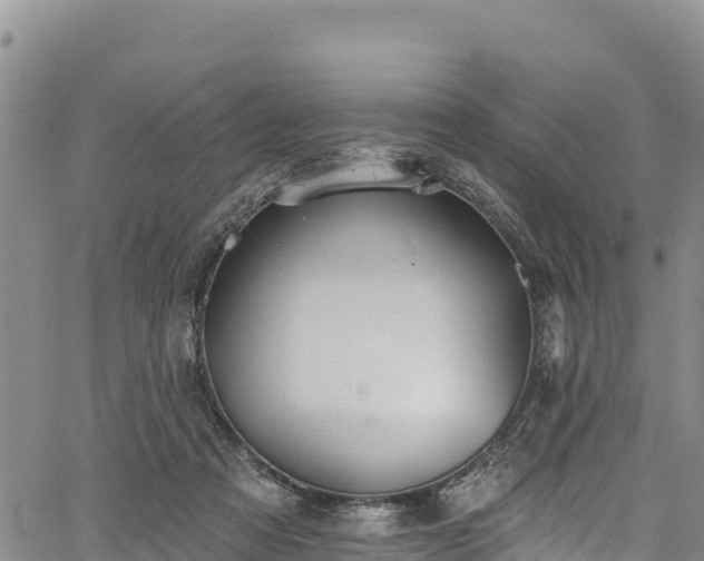 X0000067510313200604101302