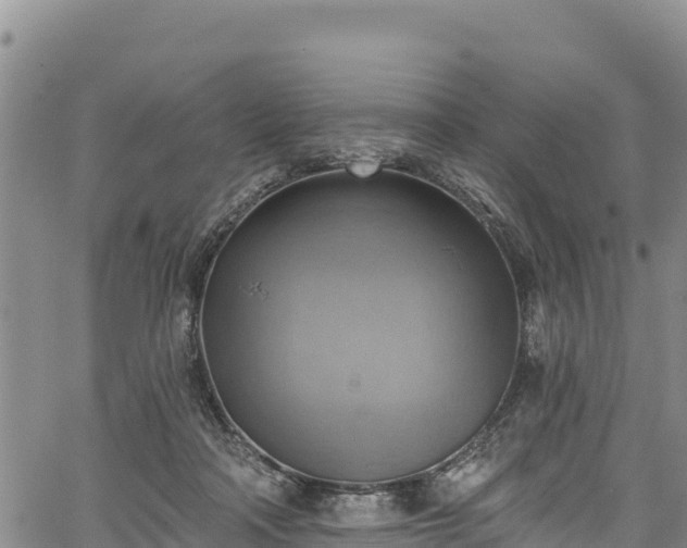 X0000067510314200604101302