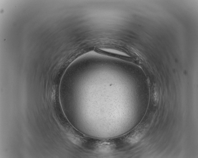 X0000067510315200604101302